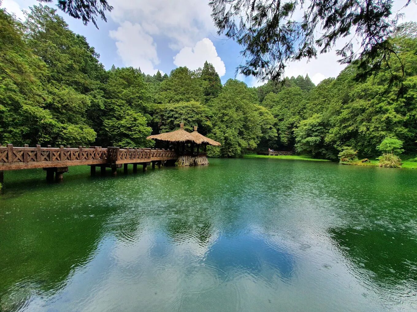 探索嘉義景點：阿里山國家風景區，從鐵路歷史到四季之美