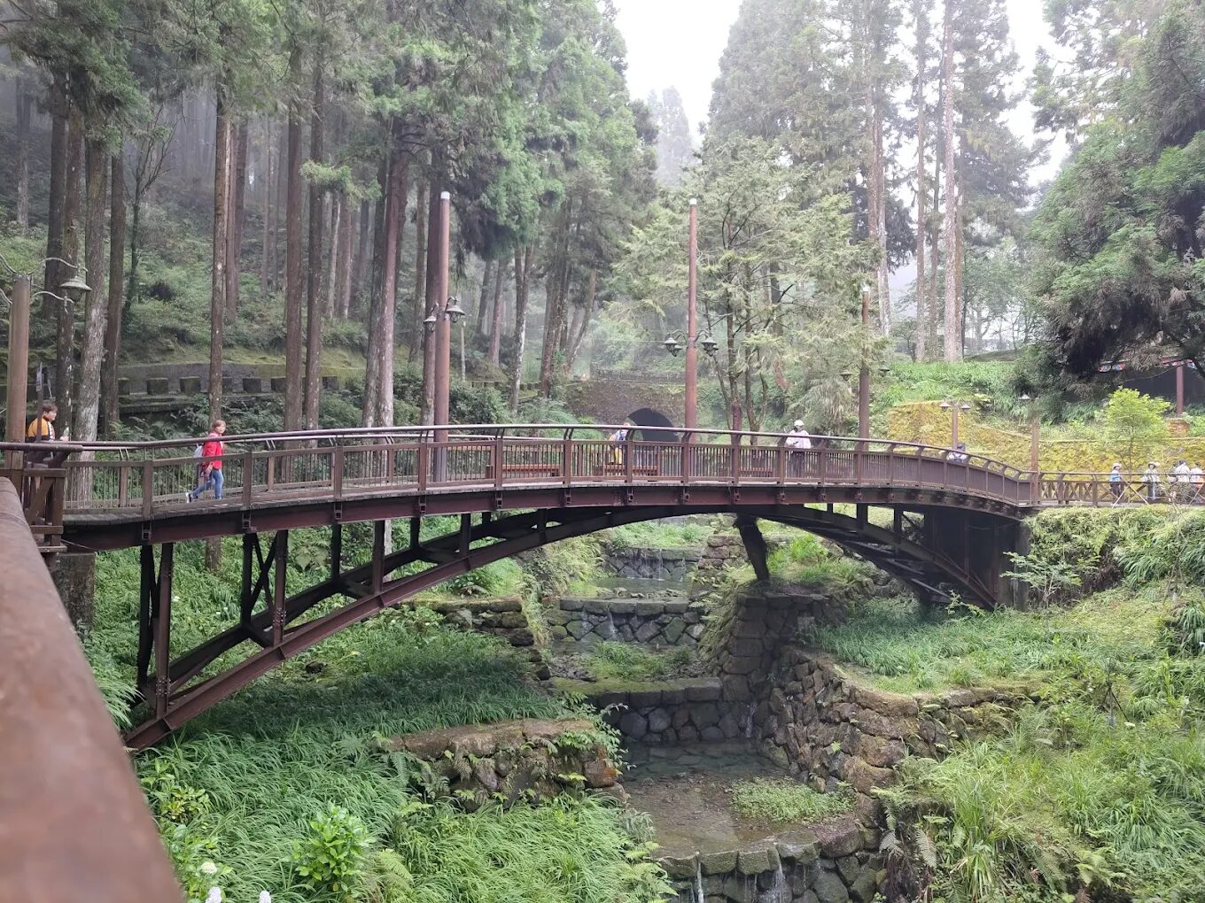探索嘉義景點：阿里山國家風景區，從鐵路歷史到四季之美