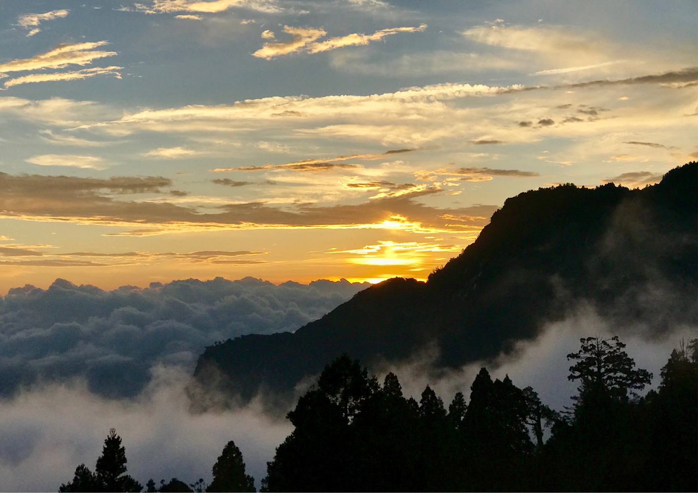 探索嘉義景點：阿里山國家風景區，從鐵路歷史到四季之美