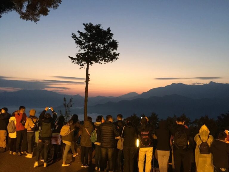 嘉義景點揭秘：如何在阿里山找到最佳日出觀賞地點