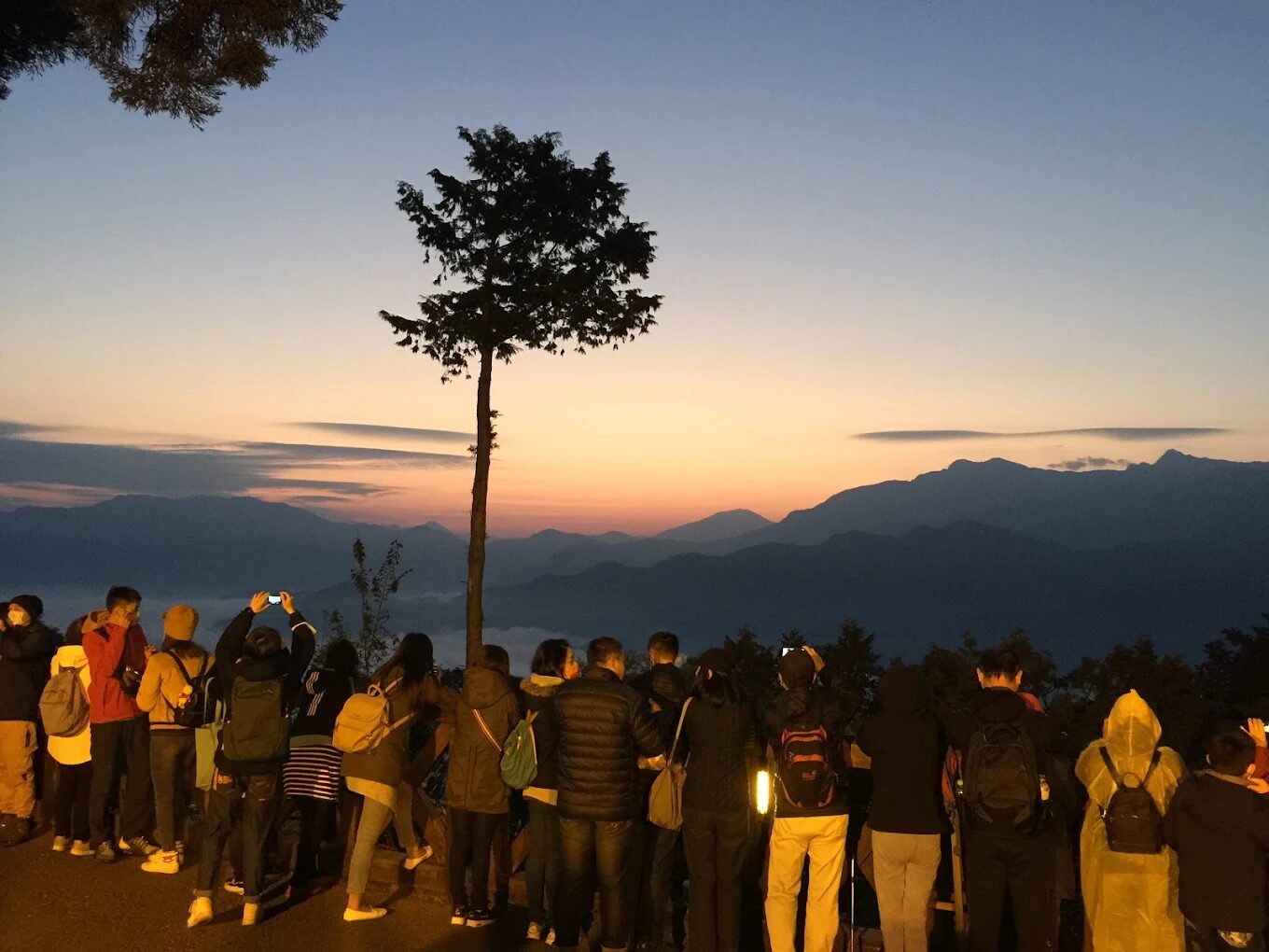 嘉義景點揭秘：如何在阿里山找到最佳日出觀賞地點