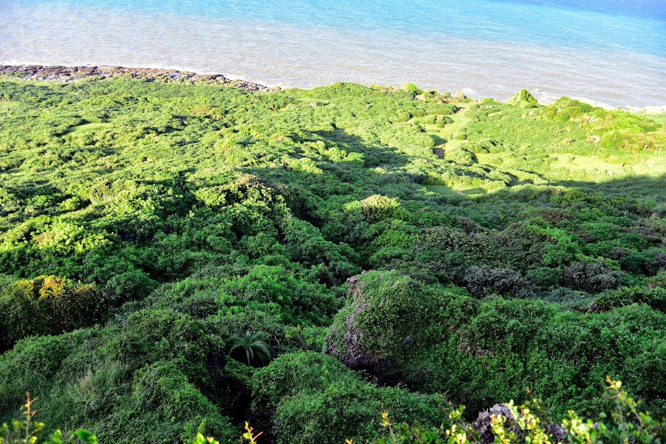 屏東景點：墾丁國家公園必遊景點，探索龍磐草原與鵝鸞鼻的最佳體驗