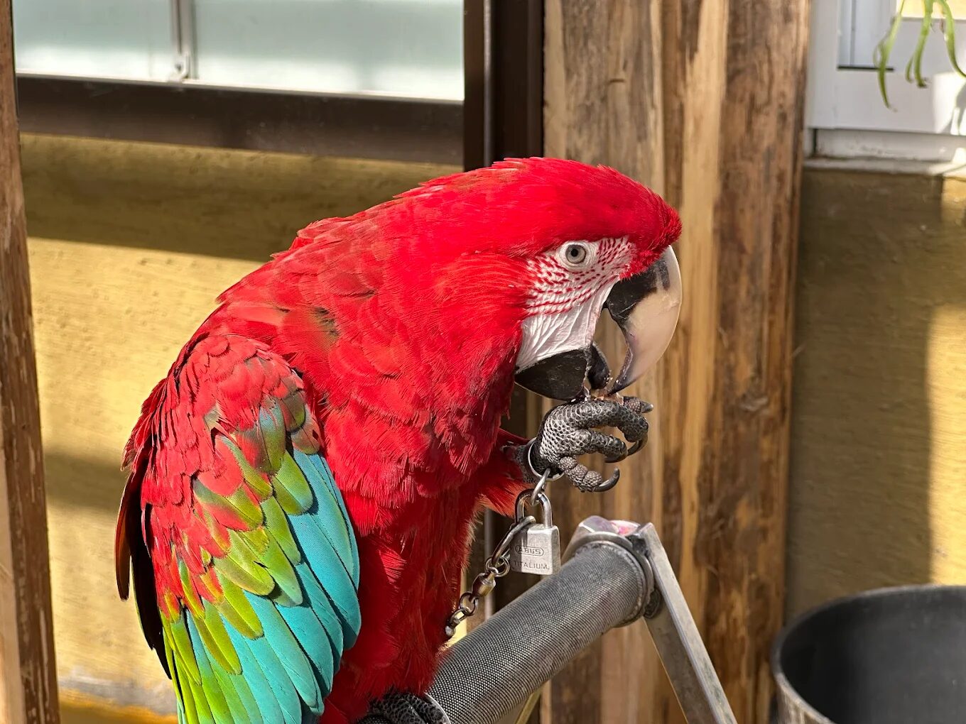 蘭陽動植物王國生態旅遊攻略