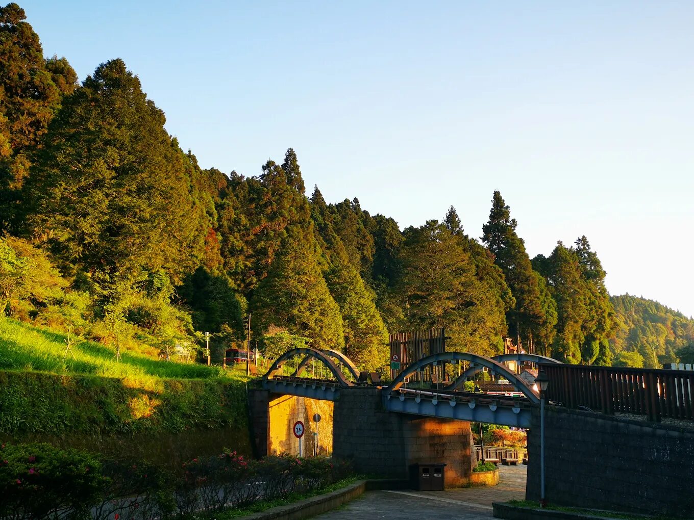 嘉義景點揭秘：如何在阿里山找到最佳日出觀賞地點
