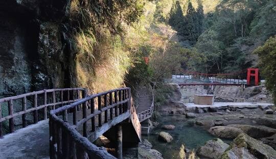 探索杉林溪森林生態渡假園區：最佳森林步道指南