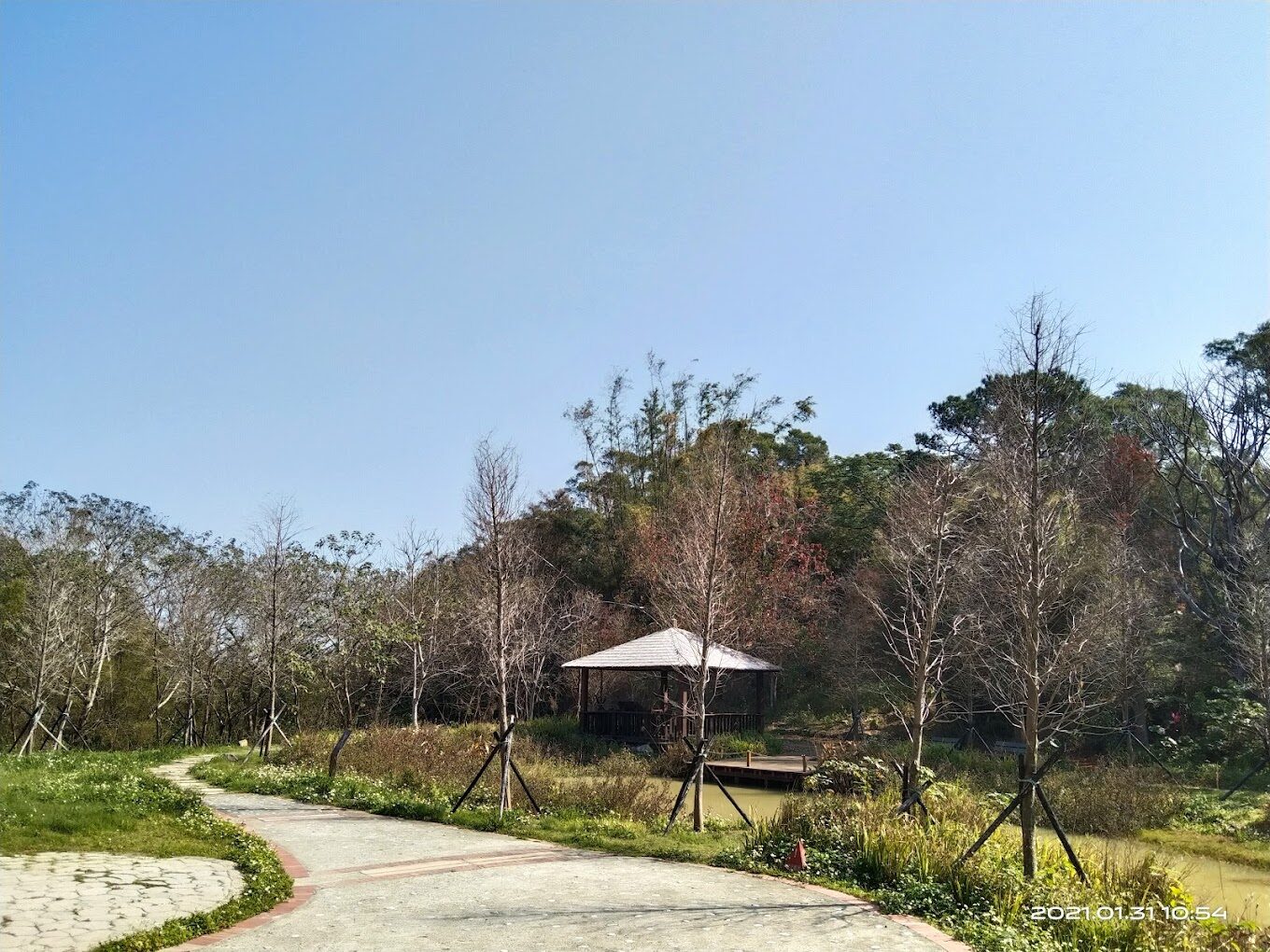 青青草原最佳健行路線及步道攻略：新竹景點