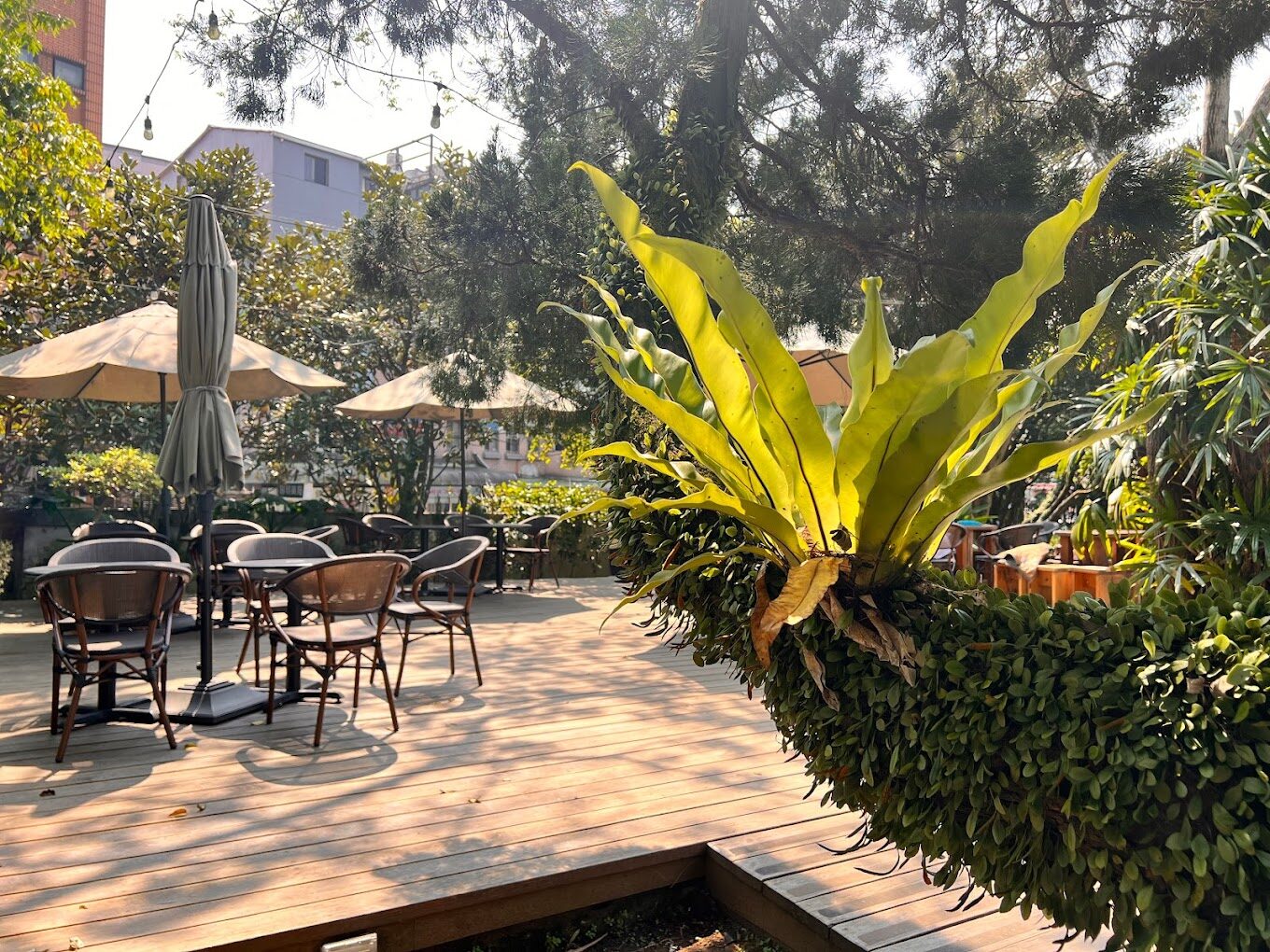 陽明山餐廳必去餐廳：熱門景觀餐廳推薦