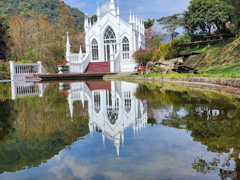 陽明山餐廳必去餐廳：熱門景觀餐廳推薦