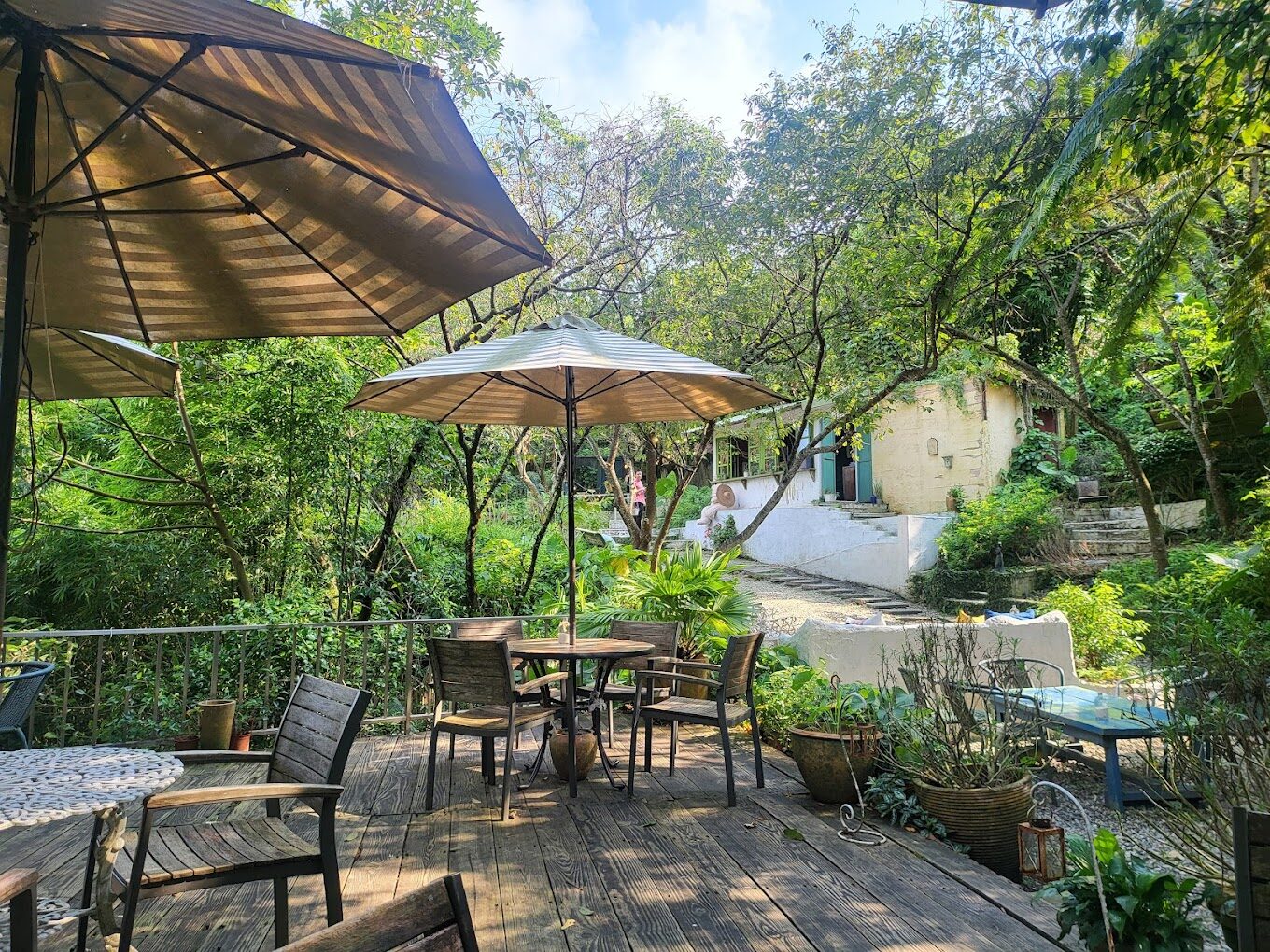 陽明山餐廳必去餐廳：熱門景觀餐廳推薦