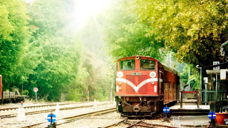 嘉義一日遊：阿里山小火車的浪漫旅程