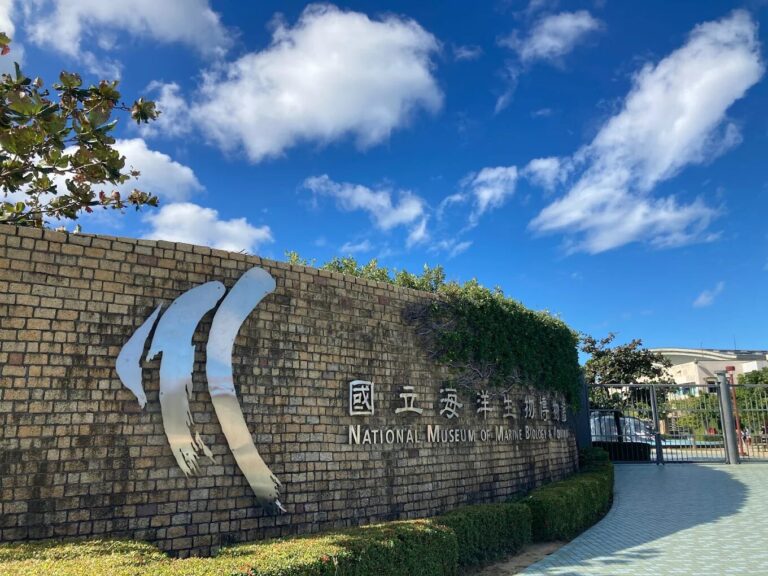 探索國立海洋生物博物館票券資訊，不可錯過的展品和表演秀