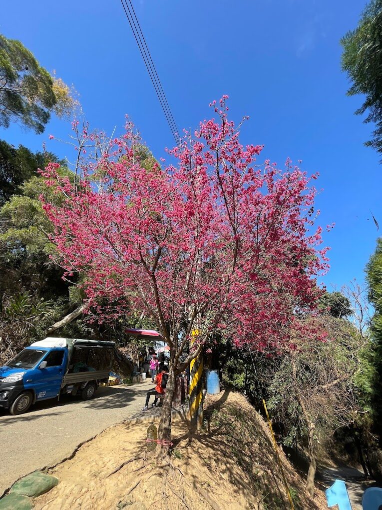大坑步道自然景觀指南：每個季節的最佳景點