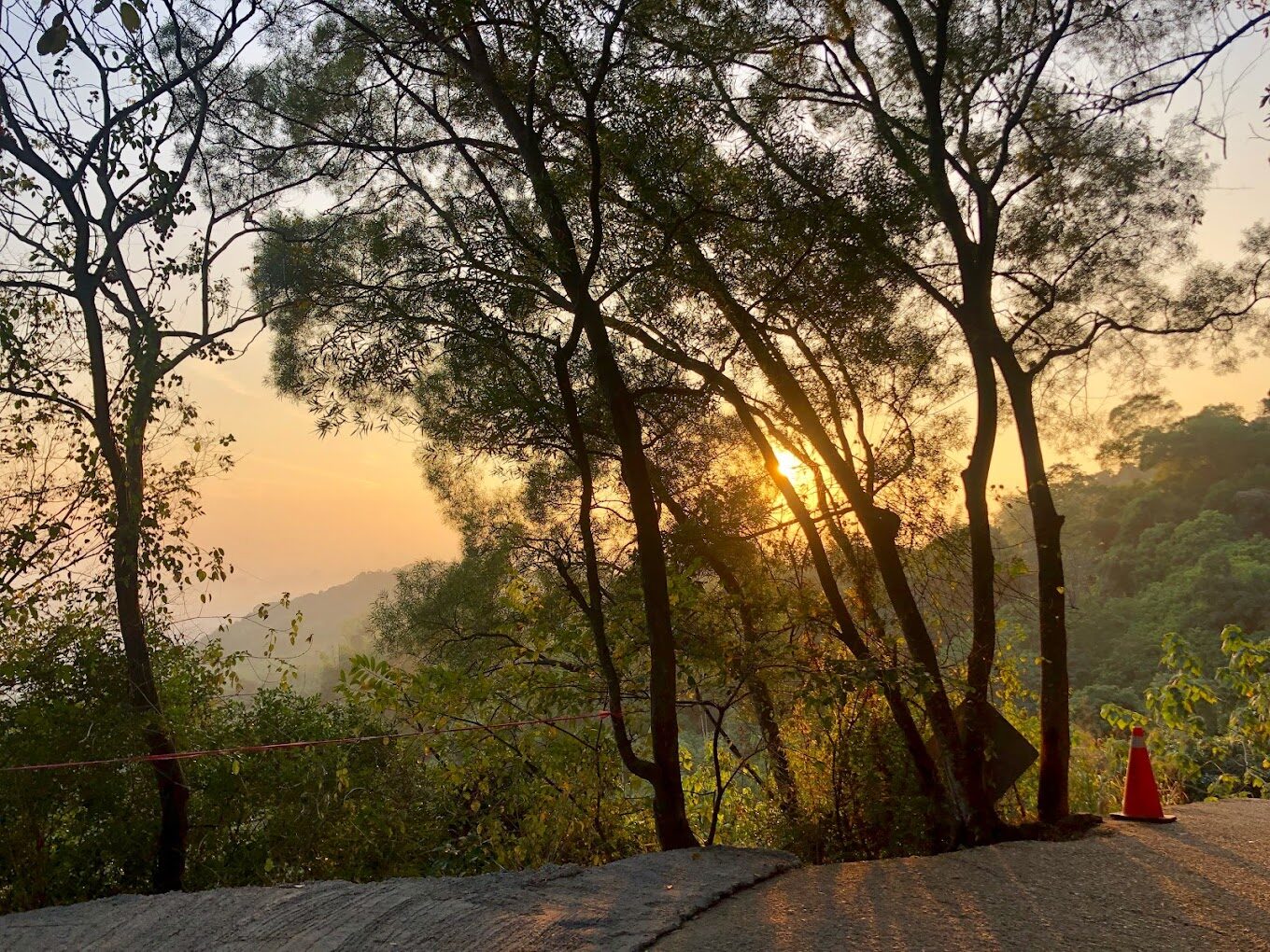 大坑步道自然景觀指南：每個季節的最佳景點