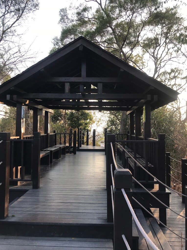 大坑步道自然景觀指南：每個季節的最佳景點