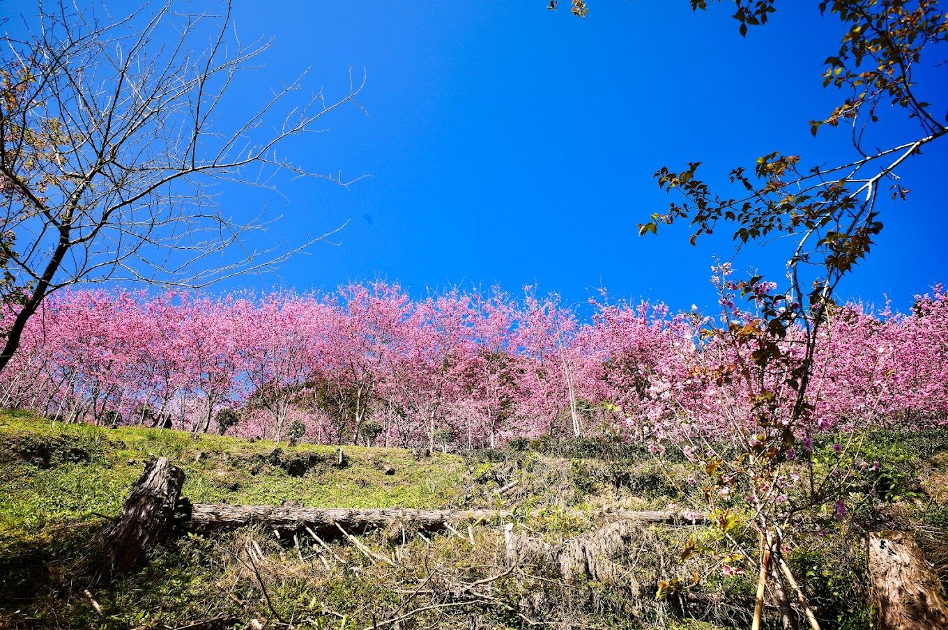 新竹溫泉推薦：清泉溫泉詳解及周邊景點攻略