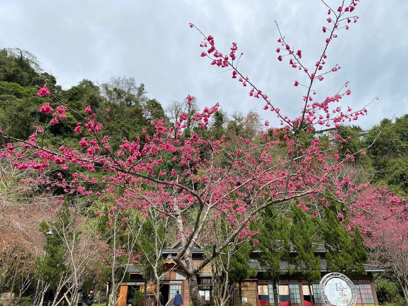 新竹溫泉推薦：清泉溫泉詳解及周邊景點攻略