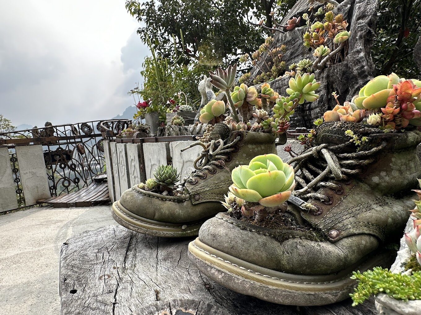 嘉義私房景點：嘉義秘境咖啡廳推薦，尋找隱藏的咖啡天堂