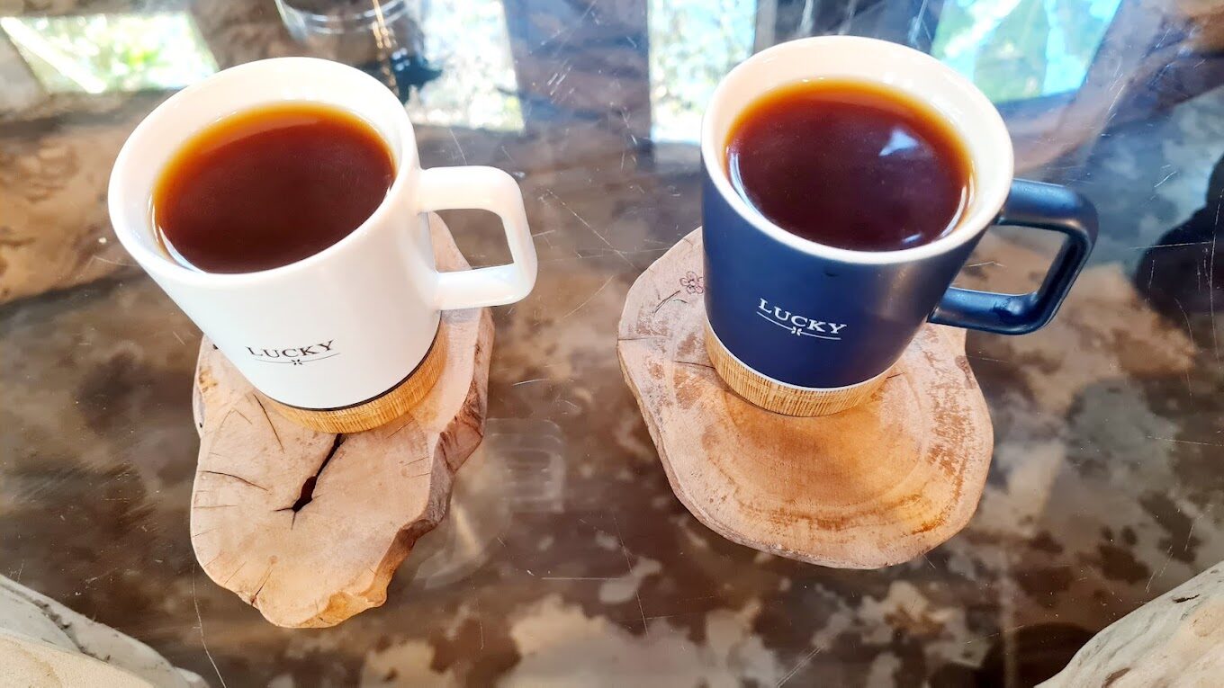 嘉義私房景點：嘉義秘境咖啡廳推薦，尋找隱藏的咖啡天堂