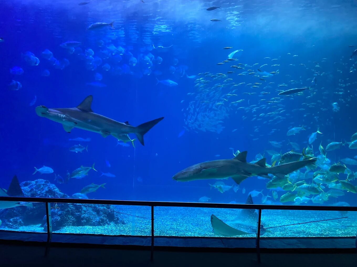 屏東親子景點必訪：十大熱門景點攻略