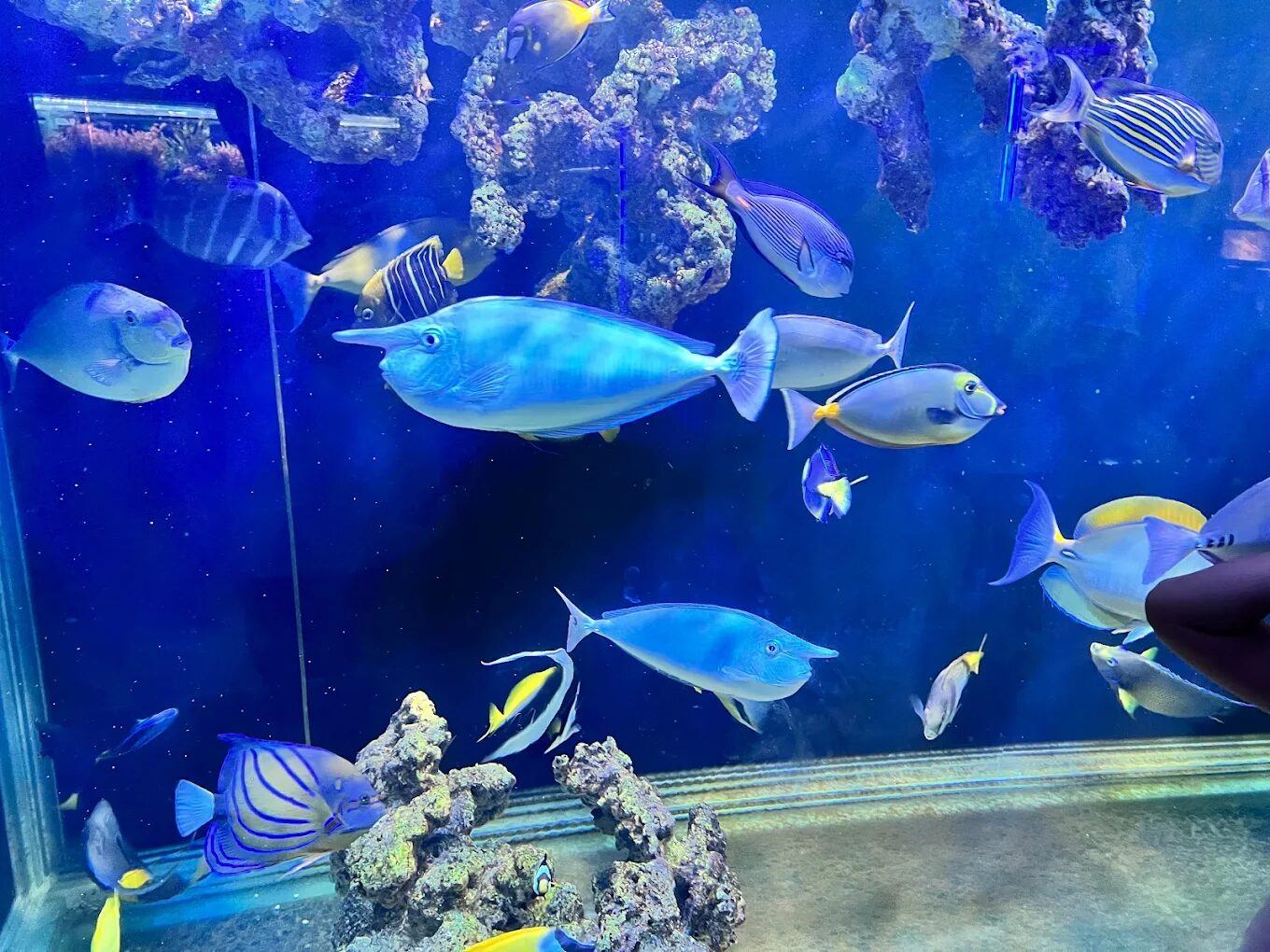 屏東親子景點必訪：十大熱門景點攻略