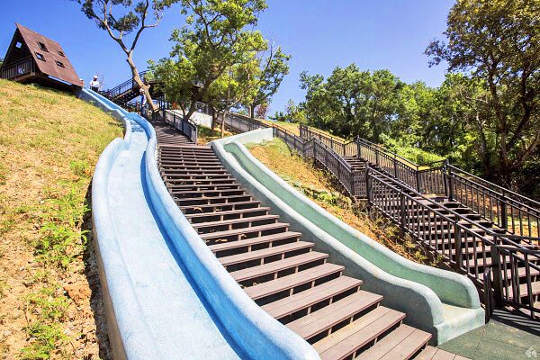 青青草原最佳健行路線及步道攻略：新竹景點