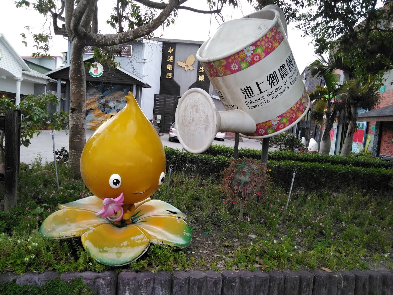 2025池上景點必訪清單｜小眾推薦不容錯過