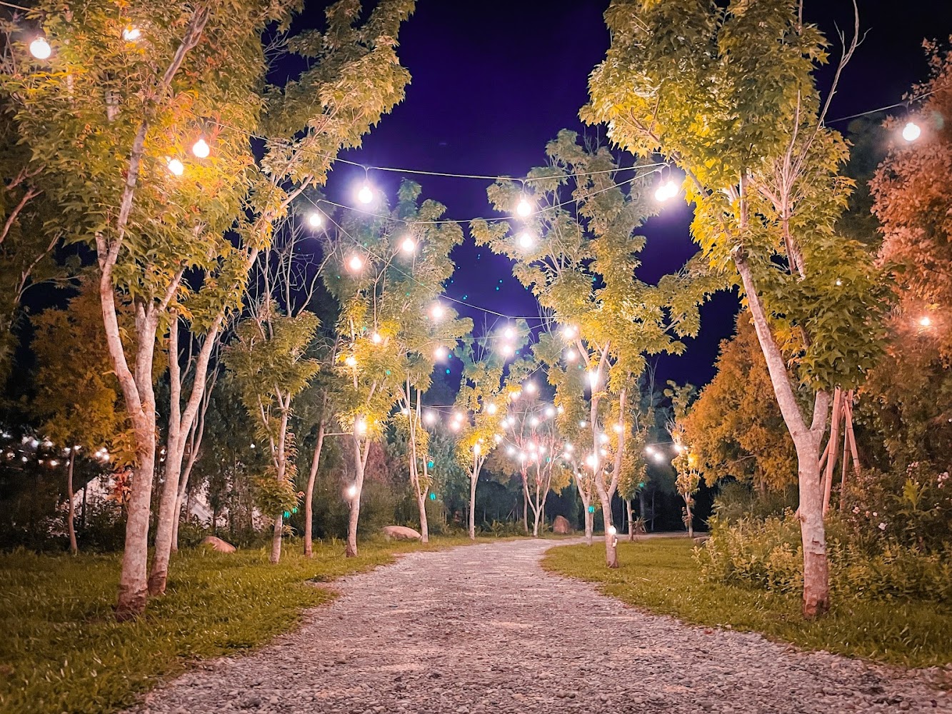 苗栗景點推薦｜避開人潮的秘境