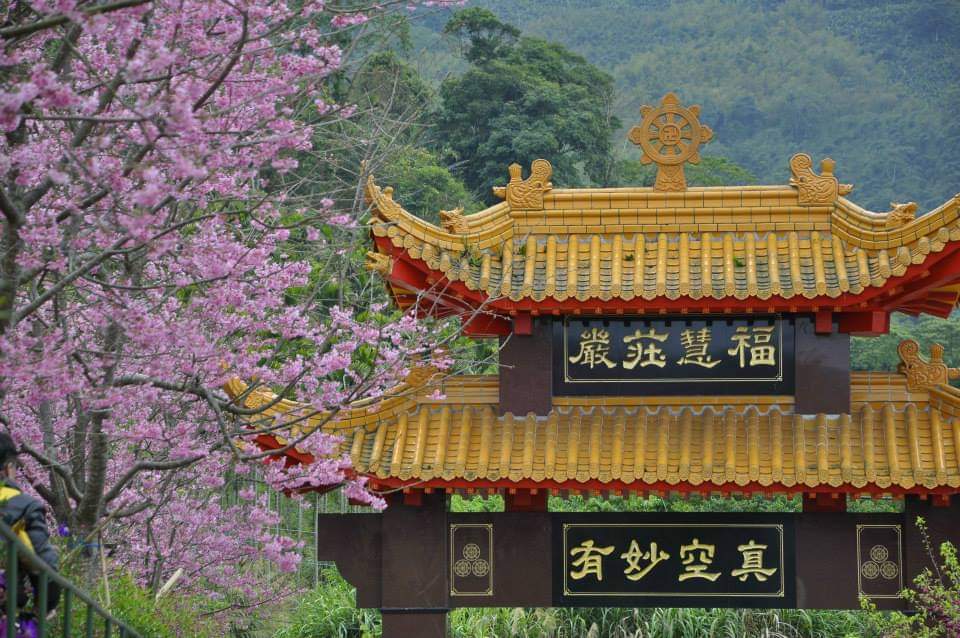 【2025】阿里山小火車絕美景點推薦｜拍照熱點不容錯過