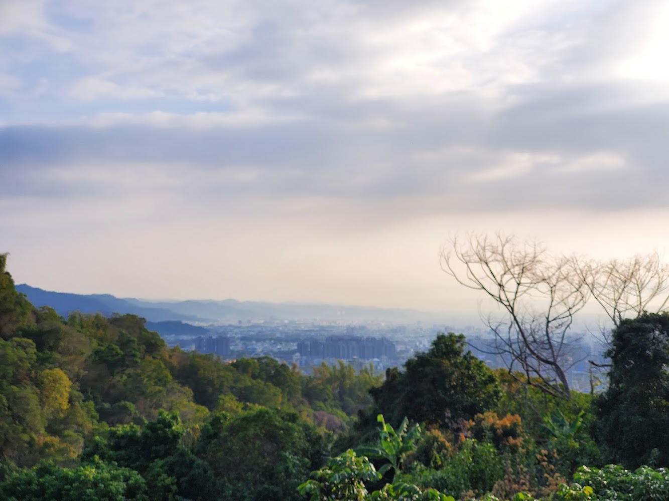 大坑步道必遊景點指南｜探尋台中隱藏的自然寶藏