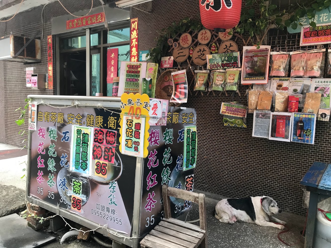 三峽大熊櫻花林攻略：2025年必打卡的景點與美食推薦