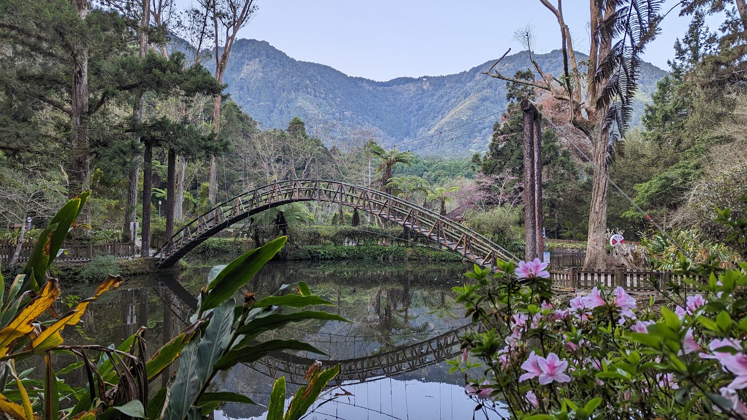 2025南投必去景點攻略｜這美景絕對不容錯過