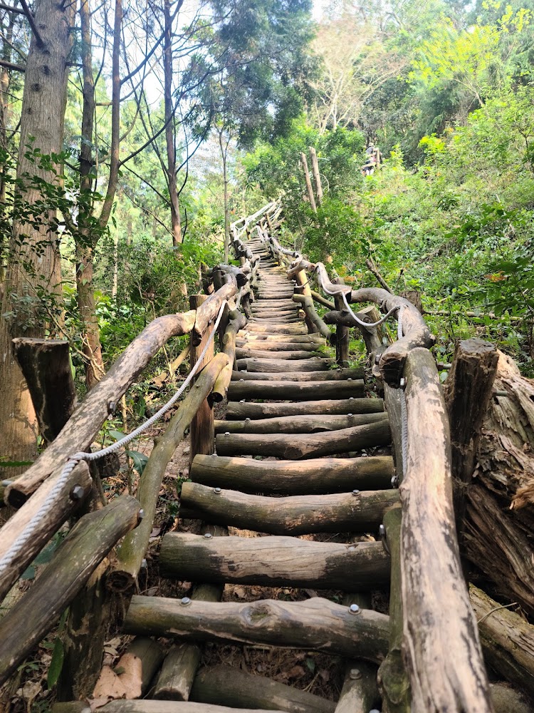 探索大坑步道：不可錯過的自然景點