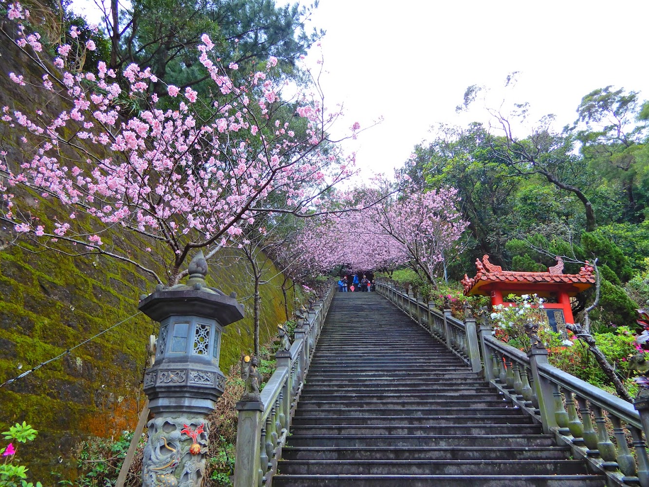 內湖碧山巖必訪景點｜2025年探尋台北秘境的最佳選擇