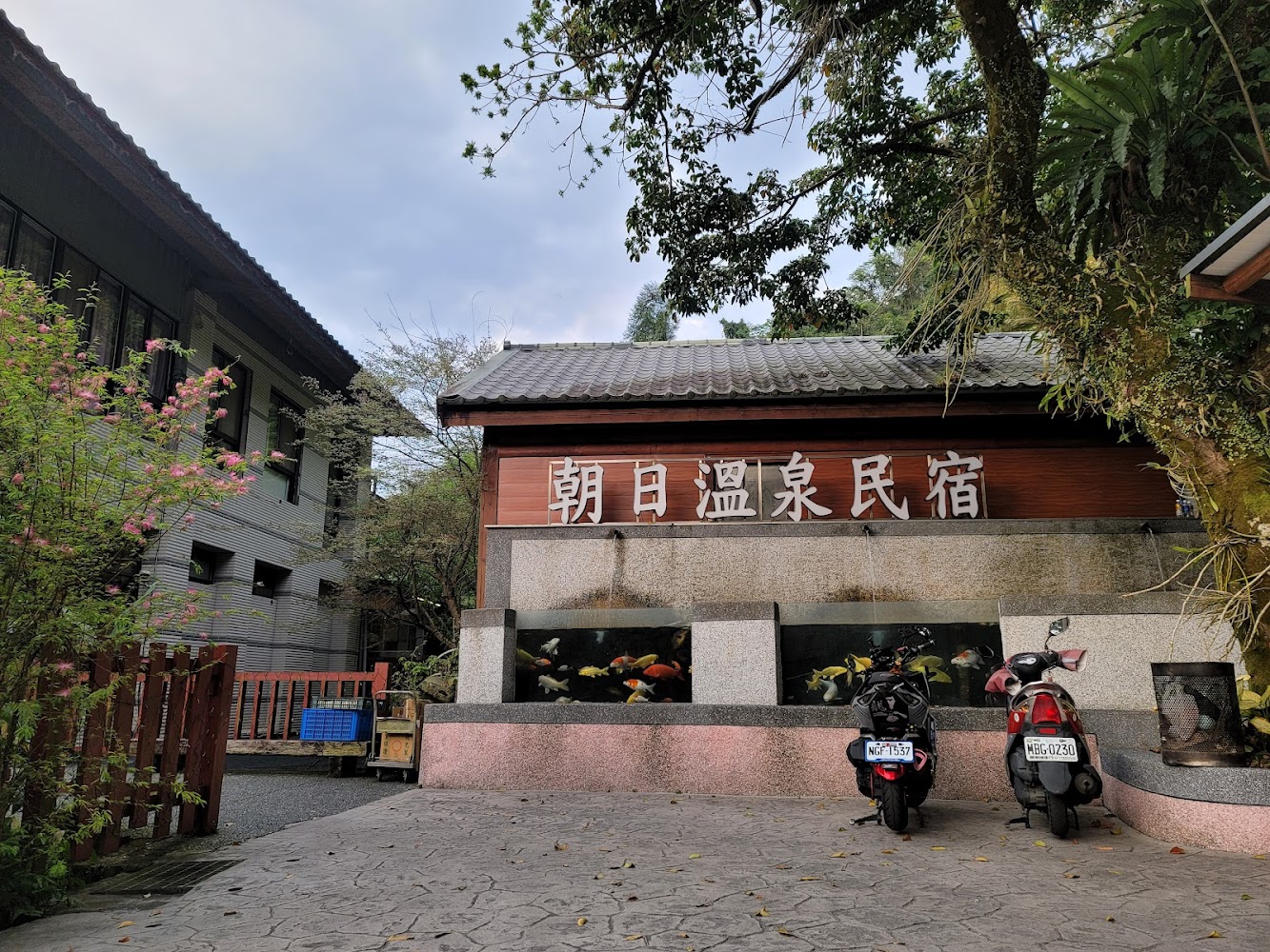 新竹溫泉指南｜不可錯過的溫泉體驗地點