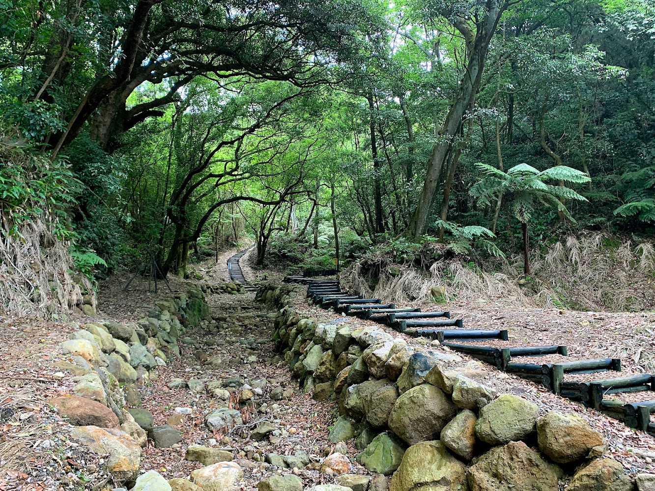 【2025新北景點】避開觀光人潮！你不能錯過的隱藏秘境