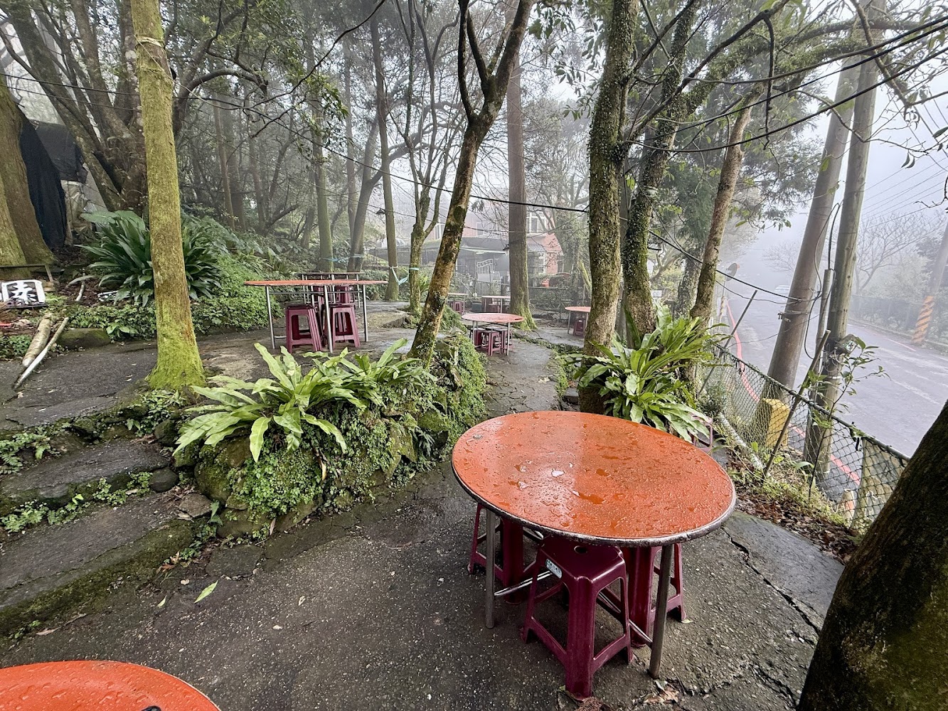 【2025】二子坪必遊懶人包｜避開旅遊陷阱，讓你的旅行更無憂