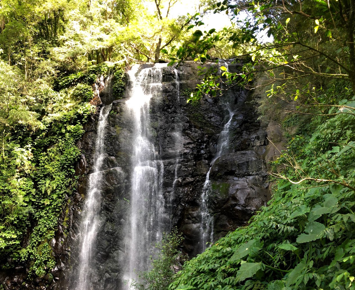 探索三峽景點：你不可錯過的隱藏秘境
