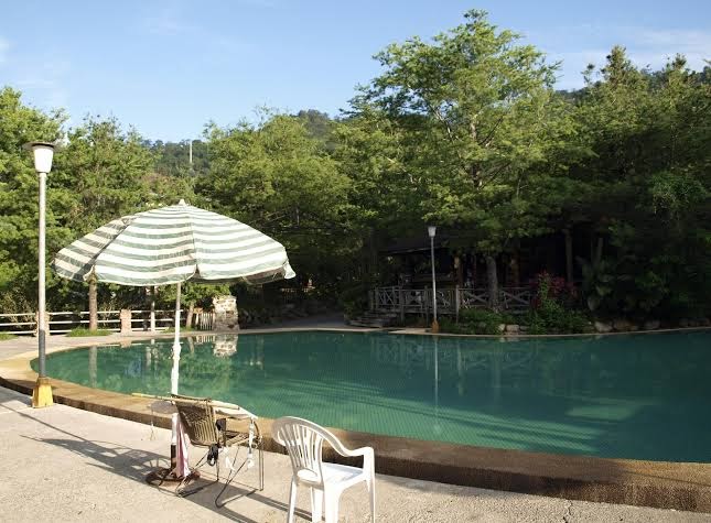 2025阿里山住宿推薦｜必住山居體驗，不踩雷實用指南