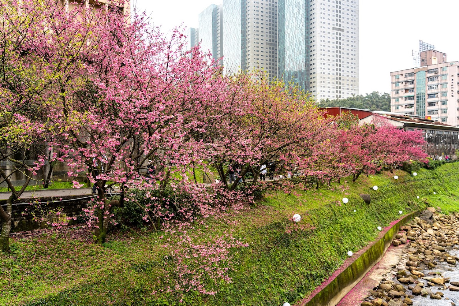 【2025】避開人潮！台北秘境景點推薦