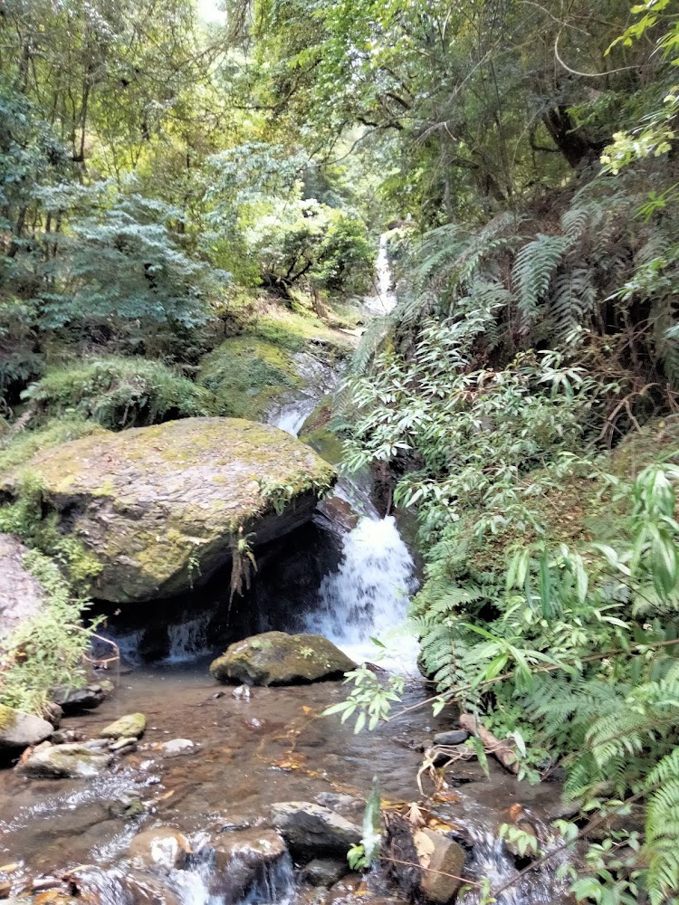 司馬庫斯一日遊｜避免錯過的絕美景點