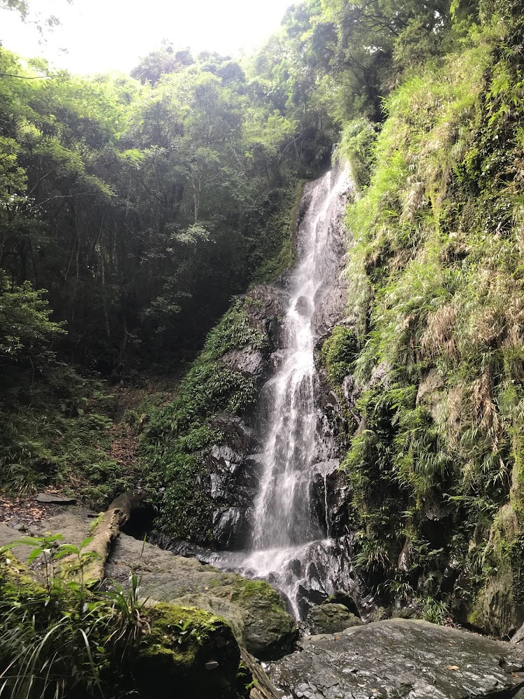 司馬庫斯一日遊｜避免錯過的絕美景點