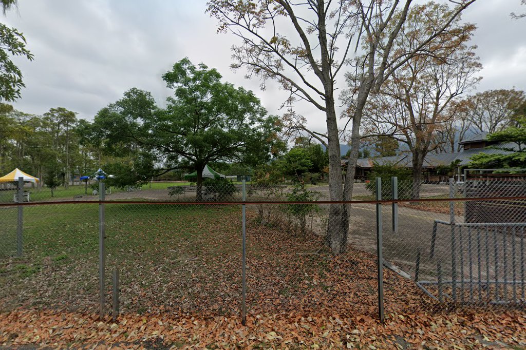 【2025】鹿野梅花鹿公園必遊攻略：5個不能錯過的精彩亮點