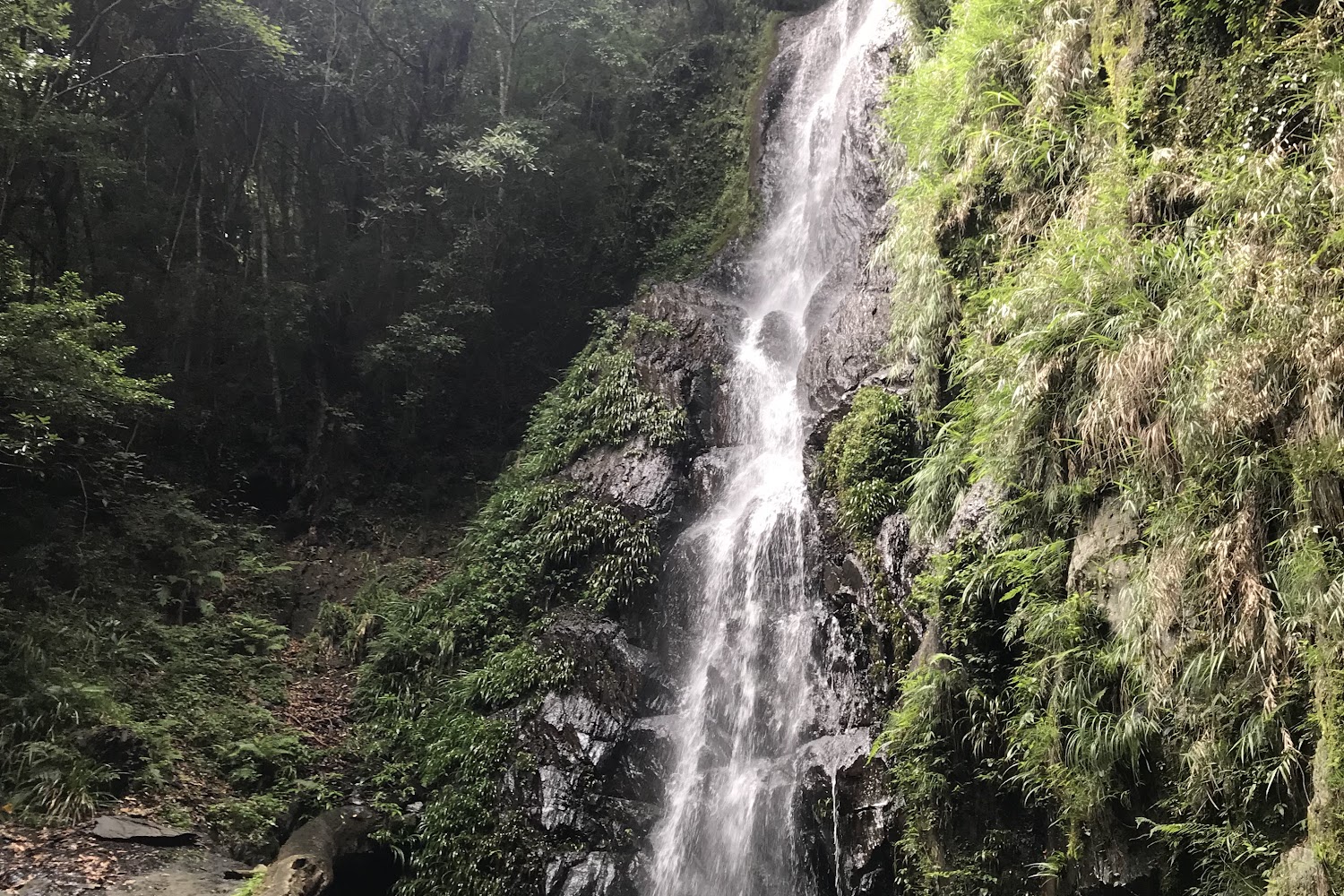 司立富瀑布地圖指引與周邊環境