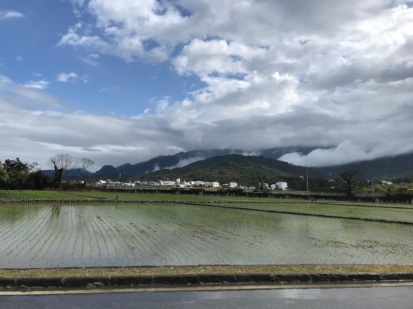 2025池上景點必訪清單｜小眾推薦不容錯過