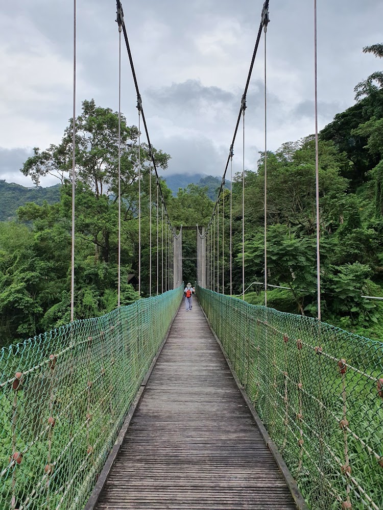 溪頭森林遊樂區必遊景點｜理由讓你絕不後悔！