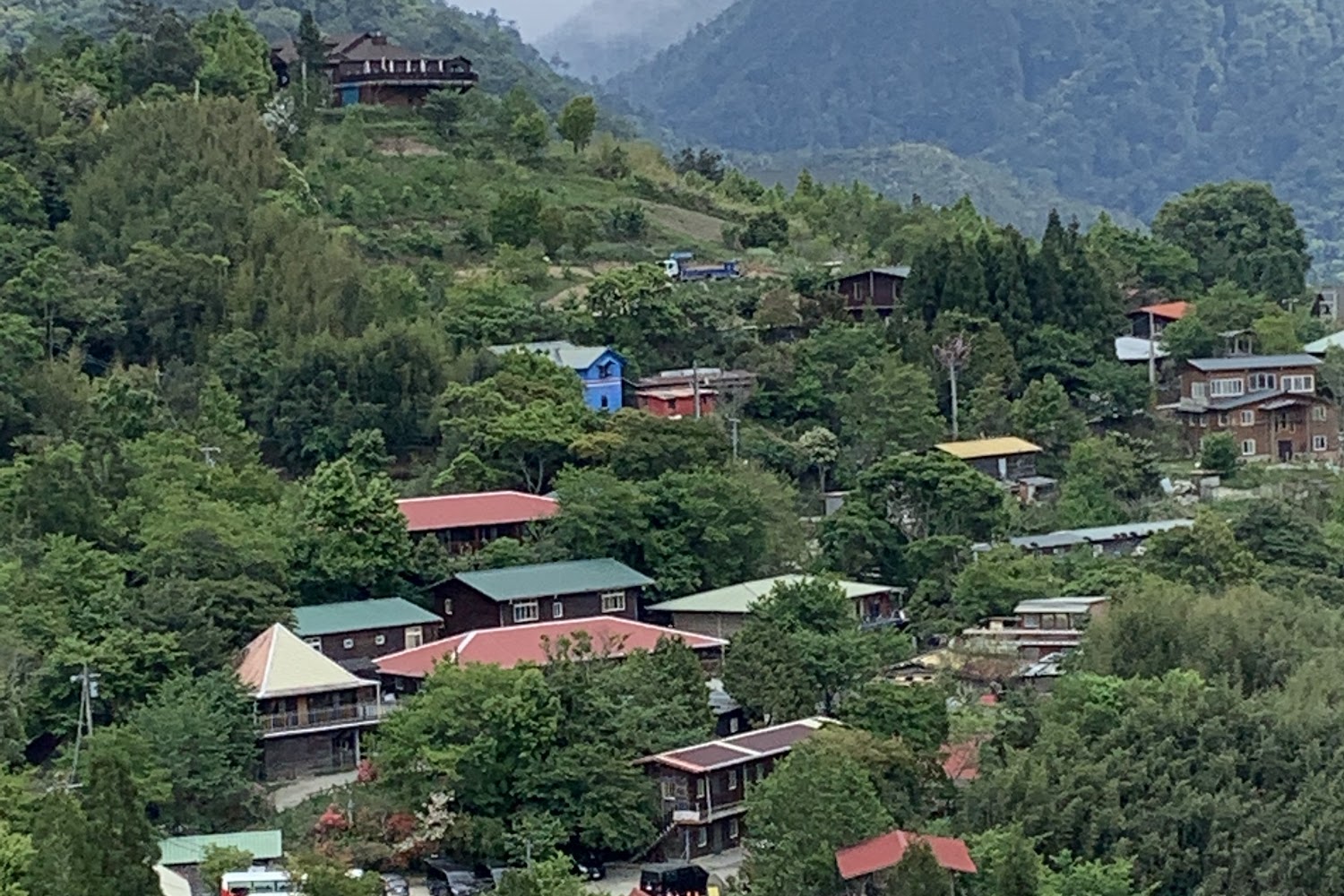 司馬庫斯一日遊｜避免錯過的絕美景點