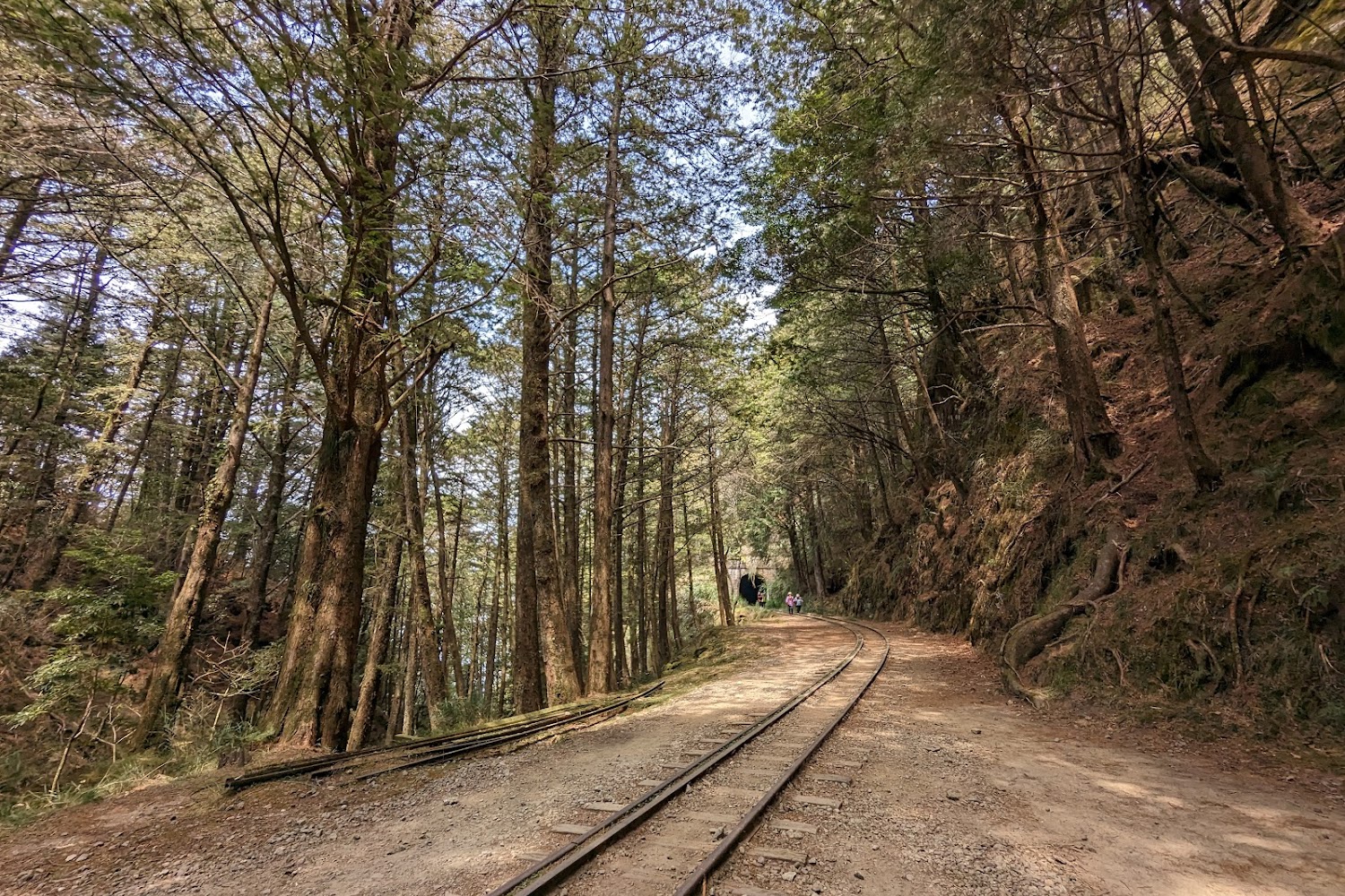 【2025】逐鹿部落必去景點｜避免錯過的自然奇觀