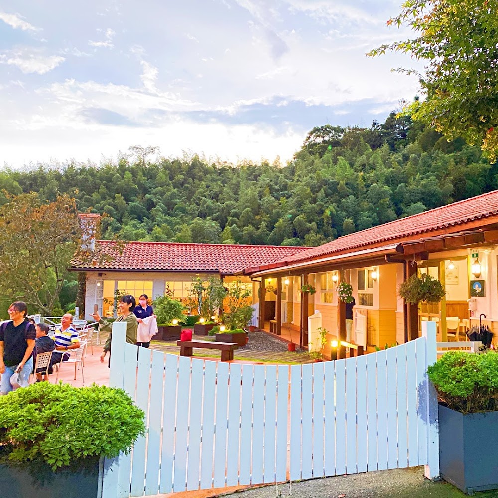 避免錯過的阿里山賓館體驗｜2025年最佳住宿攻略