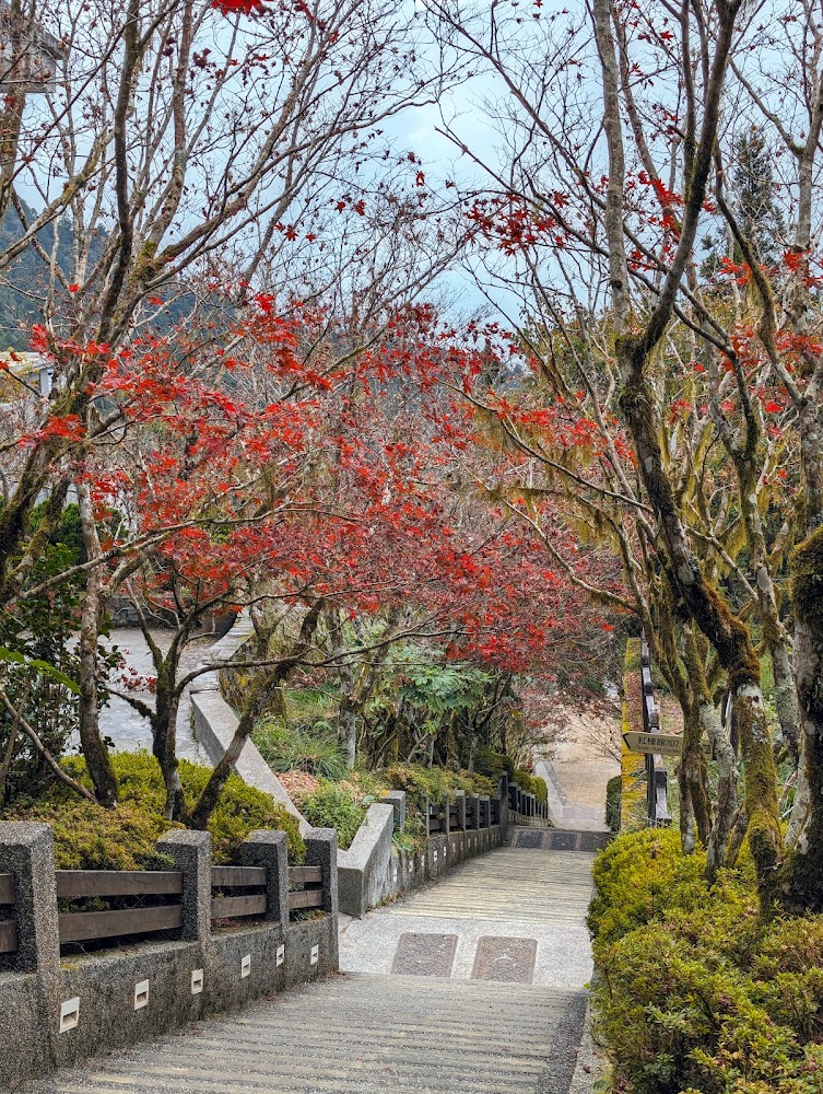 太平山莊必訪趕快收藏｜你絕不能錯過的絕美景點