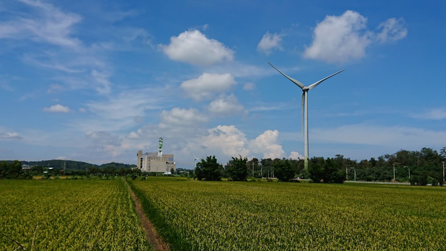 【2025】苗栗必去景點指南｜你絕對不能錯過的旅遊熱點